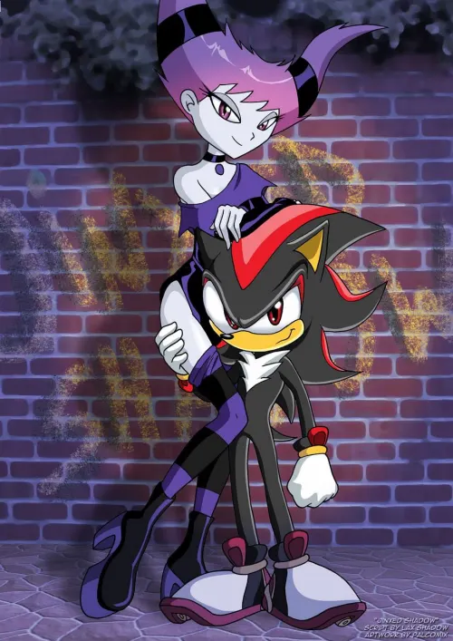 Jinxed Shadow - Sonic The Hedgehog, Teen Titans  (Chapter 01)