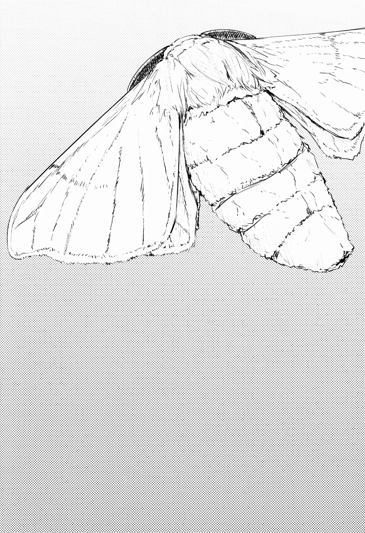 Layers Of White  (Chapter 02) — page 3